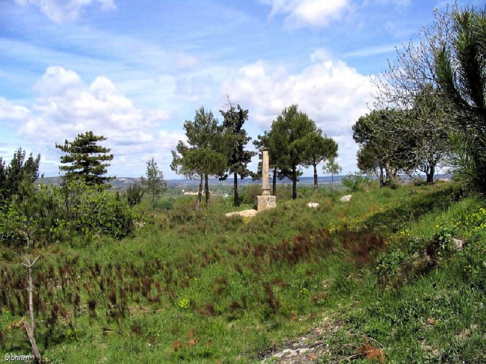 l25.jpg