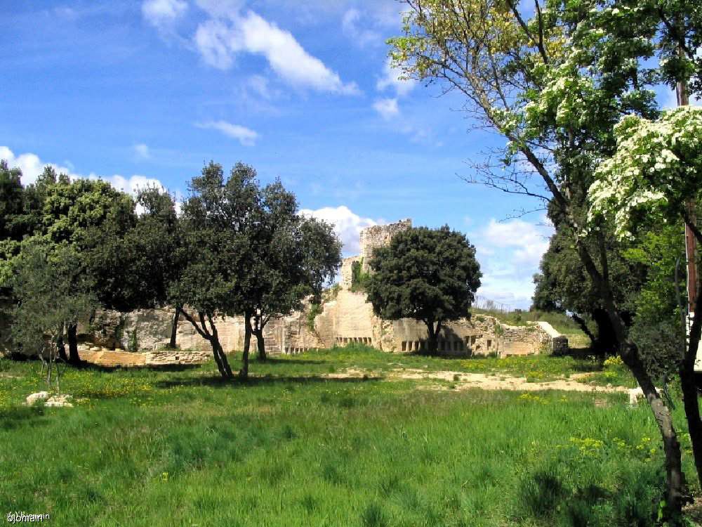l27.jpg